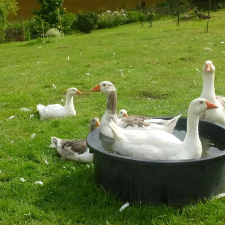 Bed & Breakfast D'hotes Logis De L'etang De L'aune 4*